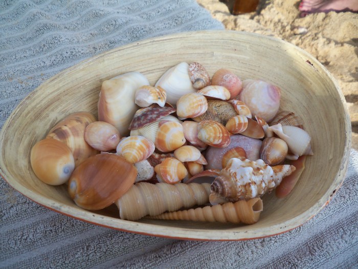 vietnam cwp hanoi 244