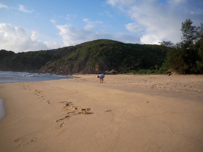 vietnam cwp hanoi 345