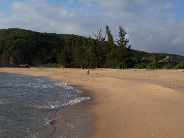 vietnam cwp hanoi 347