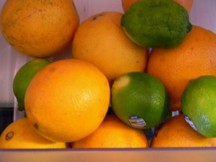 oranges DSCN5726 (4)