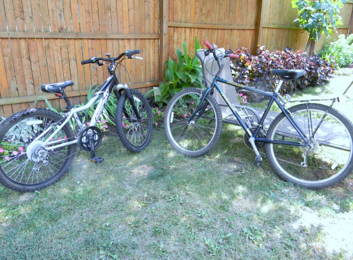 bikes DSCN8154 (2)