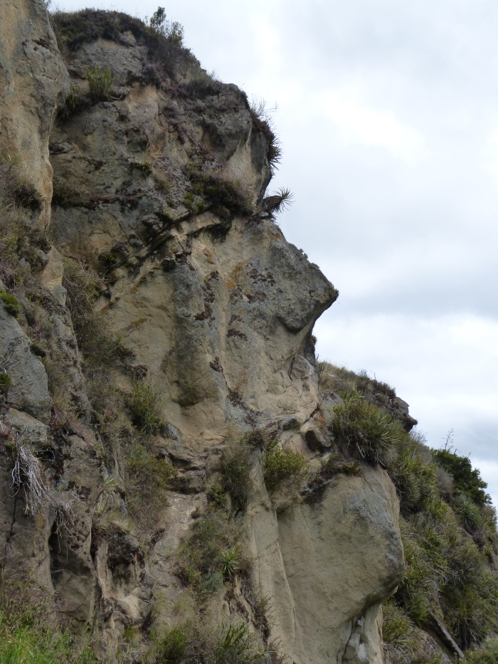 Inca face on a hillside near Ingapirca