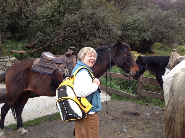 But Sara enjoyed the horses.  (David's image)