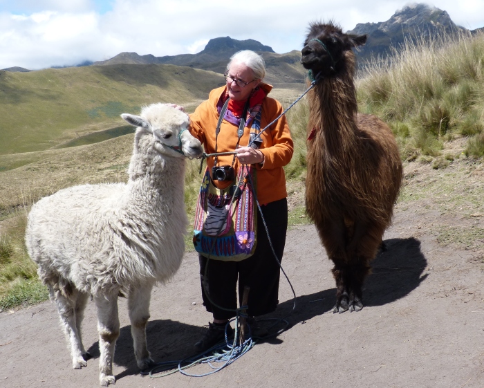 Kathy with llamas--
