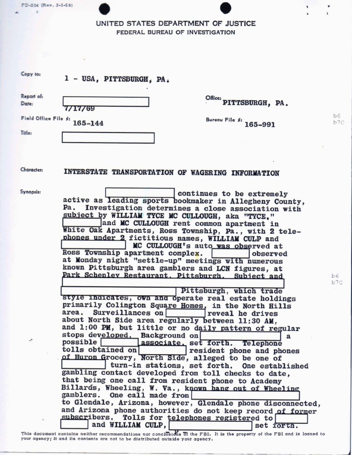 "LCN" stands for the "La Casa Nostra" or the Italian mafia.