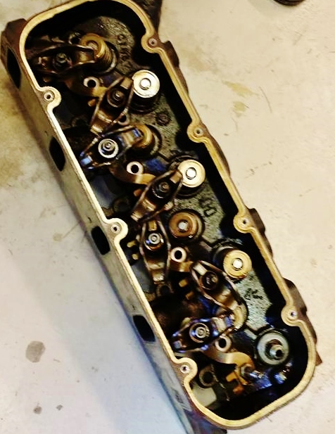 11948045_1172391869454285_1063717379_n